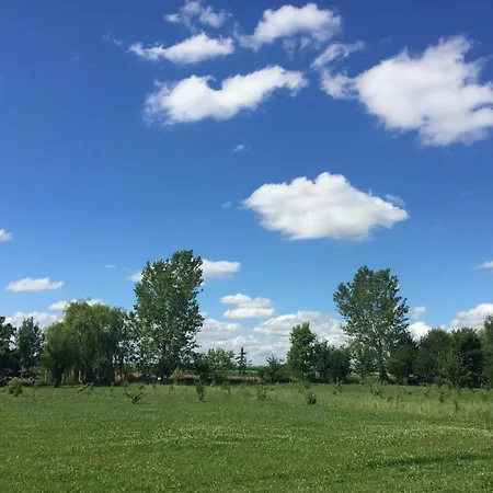 Pet-friendly Nature Escape